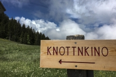 Knottnkino_1